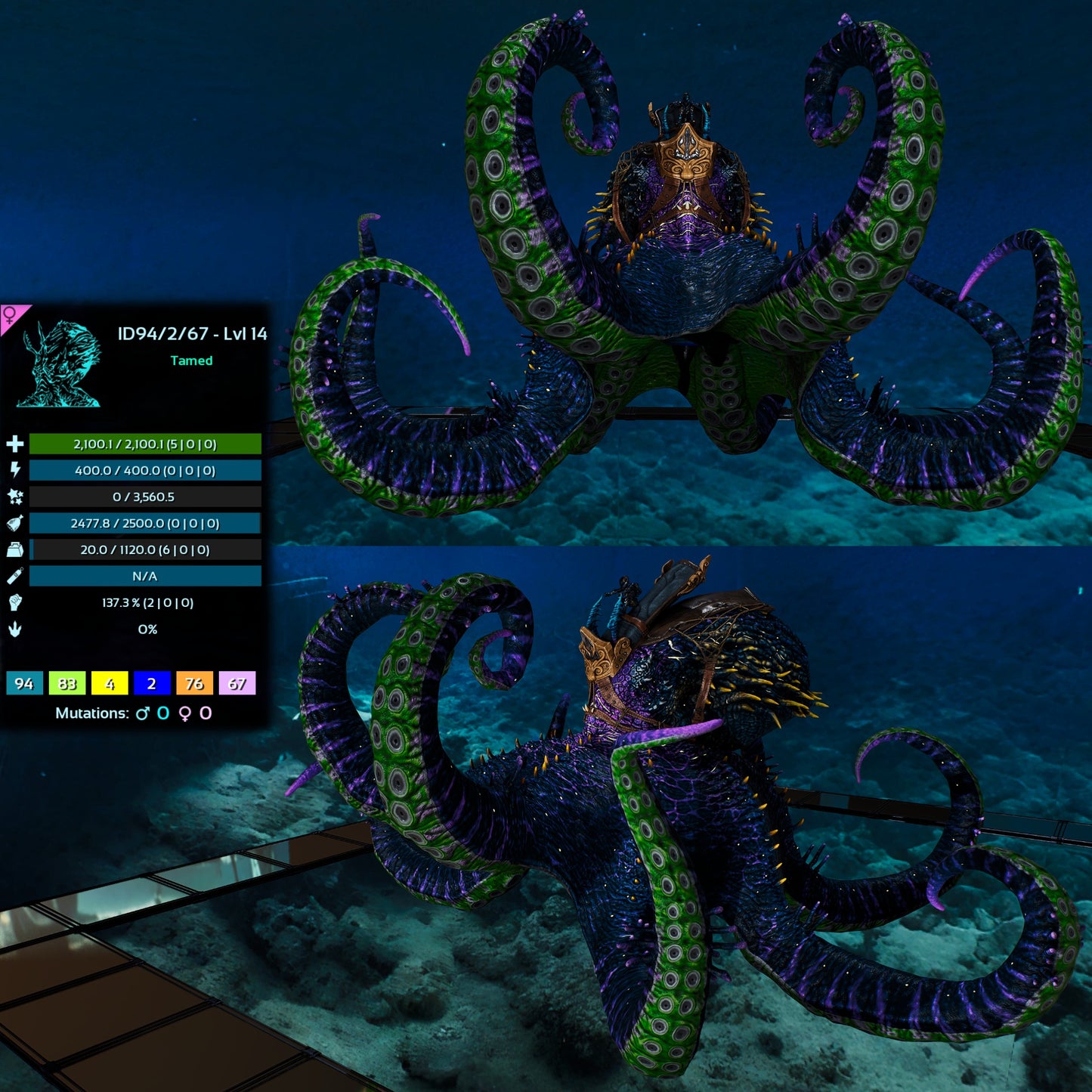 Palaeoctopus Genesis clone