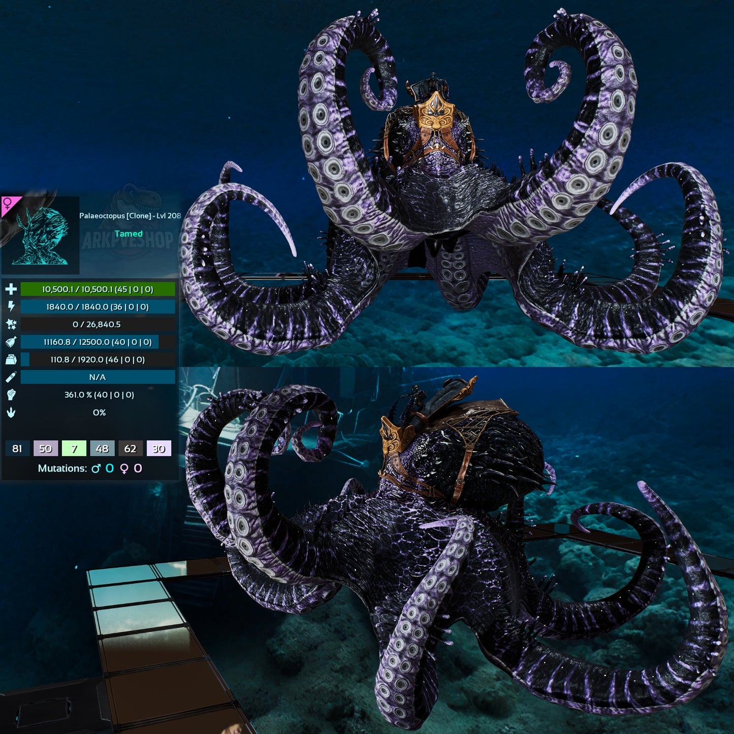 Palaeoctopus Genesis clone