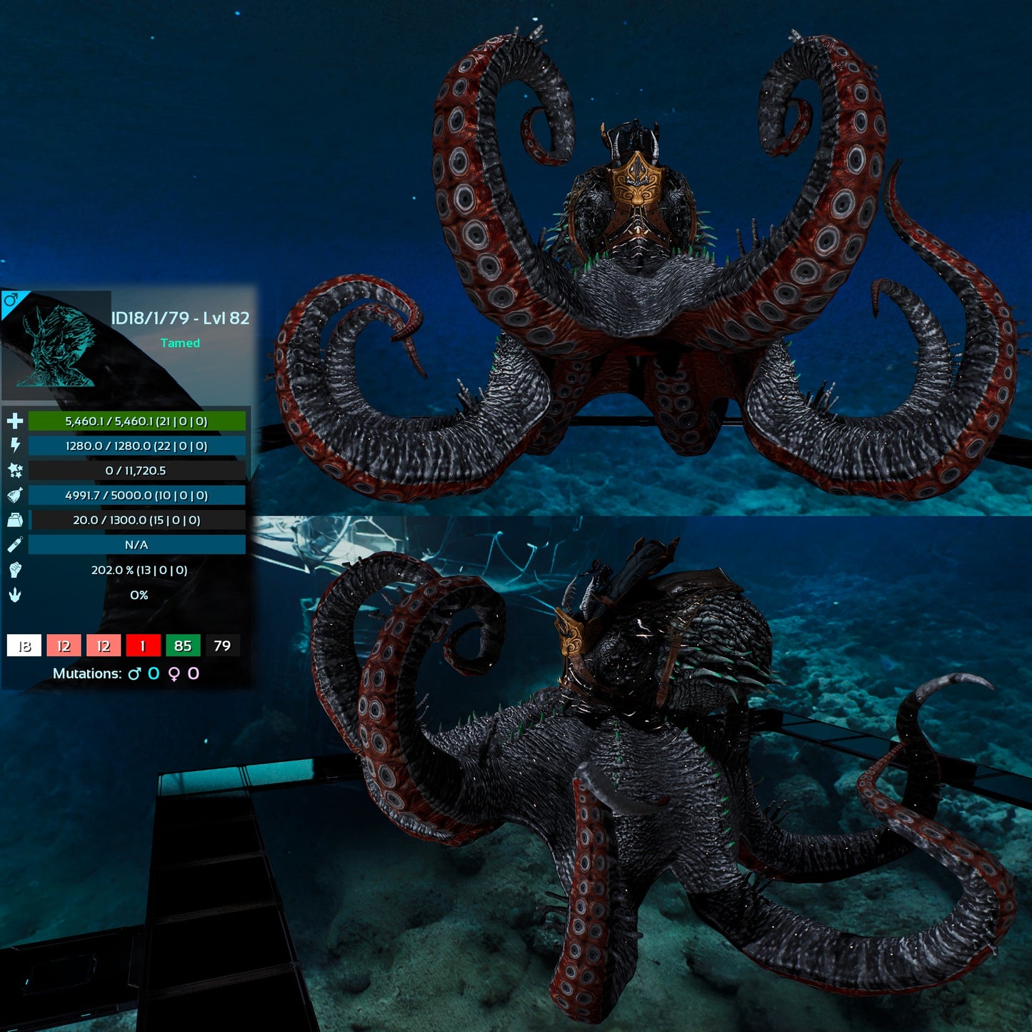 Palaeoctopus Genesis clone