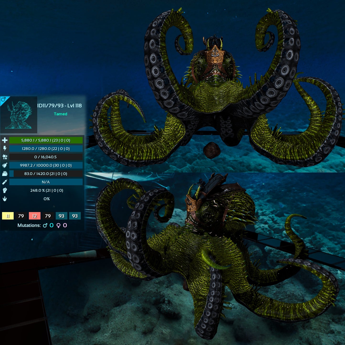 Palaeoctopus Genesis clone
