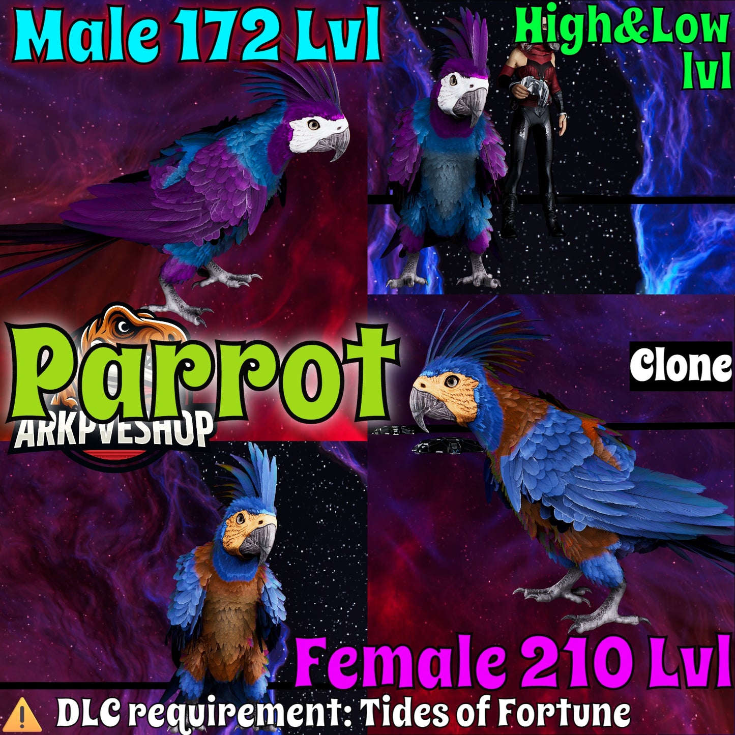 Parrot High&Low Lvls clone