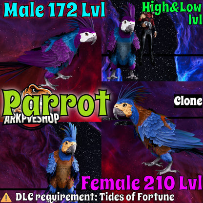 Parrot High&Low Lvls clone