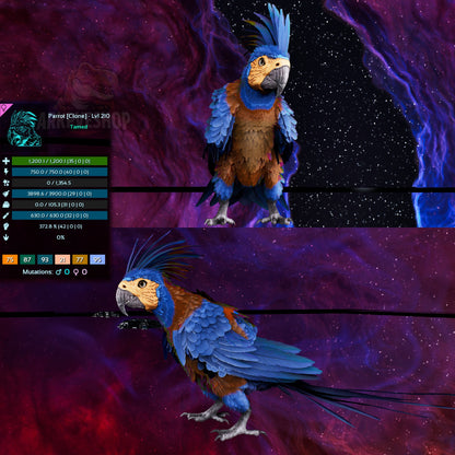 Parrot High&Low Lvls clone