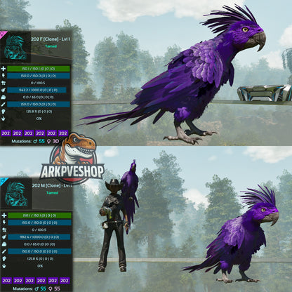 Parrot Lvl 1 Clone