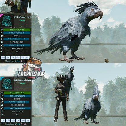 Parrot Lvl 1 Clone