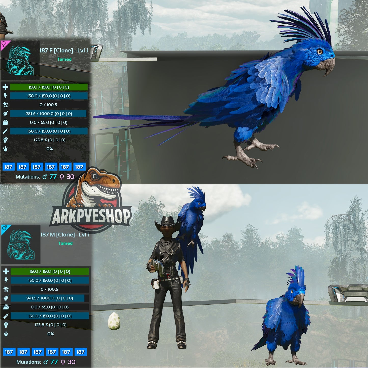 Parrot Lvl 1 Clone
