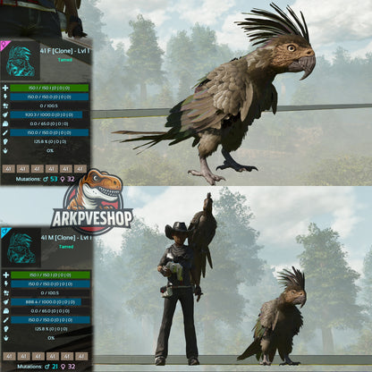 Parrot Lvl 1 Clone