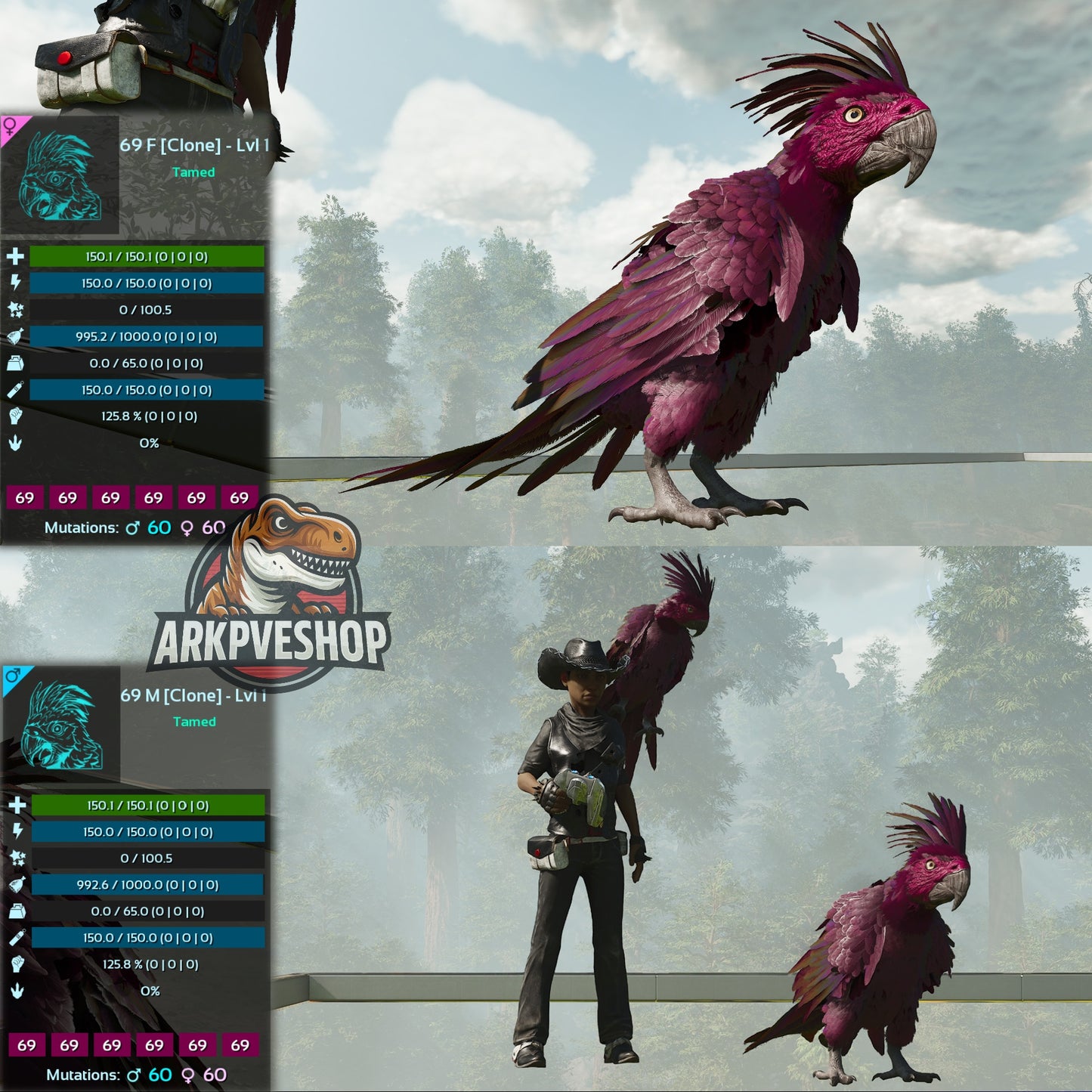 Parrot Lvl 1 Clone