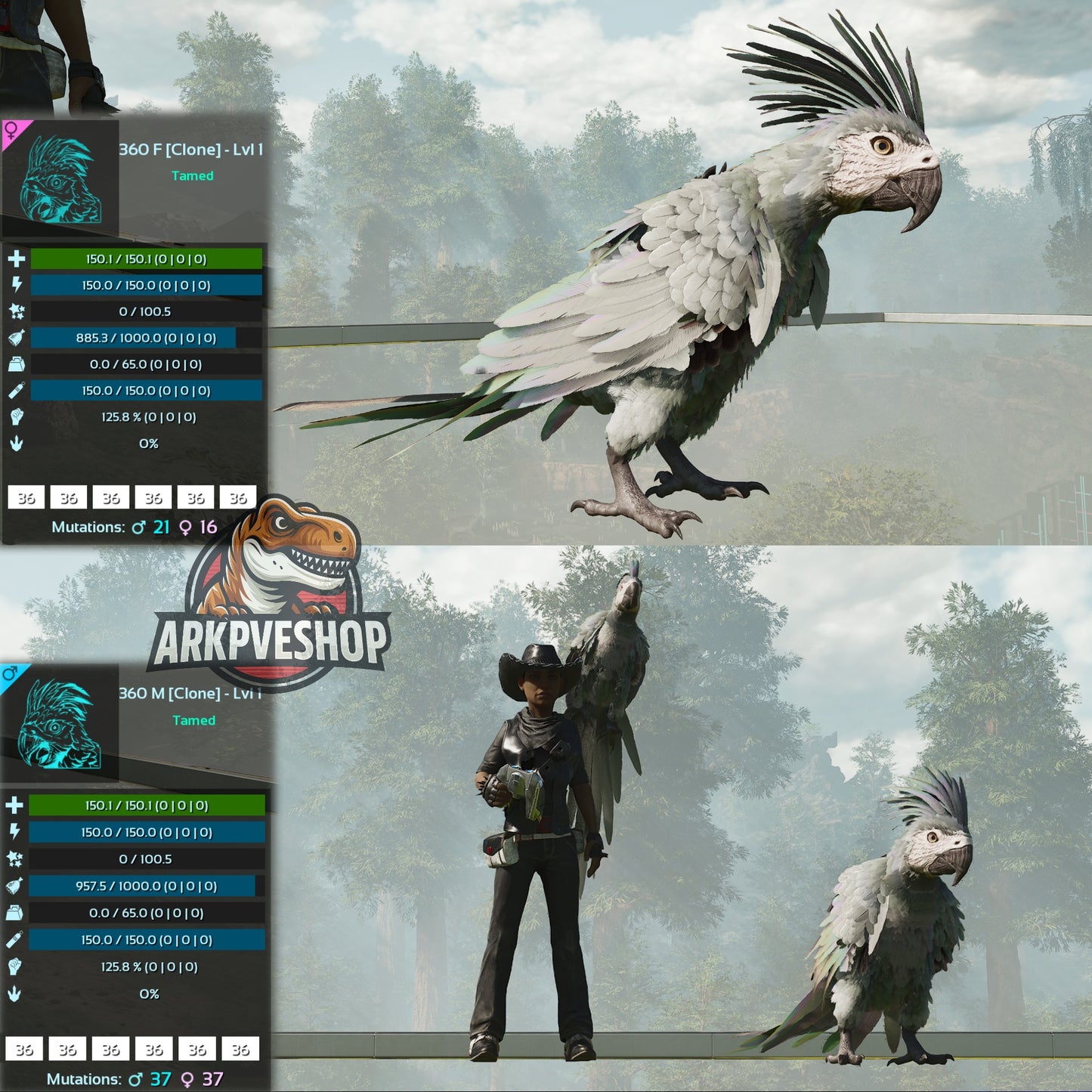 Parrot Lvl 1 Clone