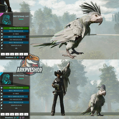 Parrot Lvl 1 Clone