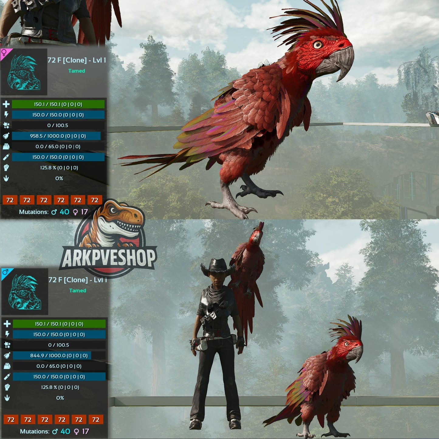 Parrot Lvl 1 Clone