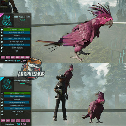 Parrot Lvl 1 Clone