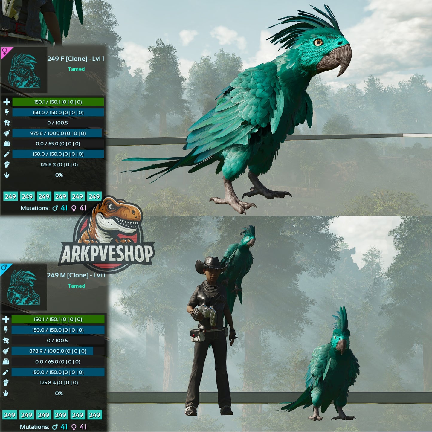Parrot Lvl 1 Clone