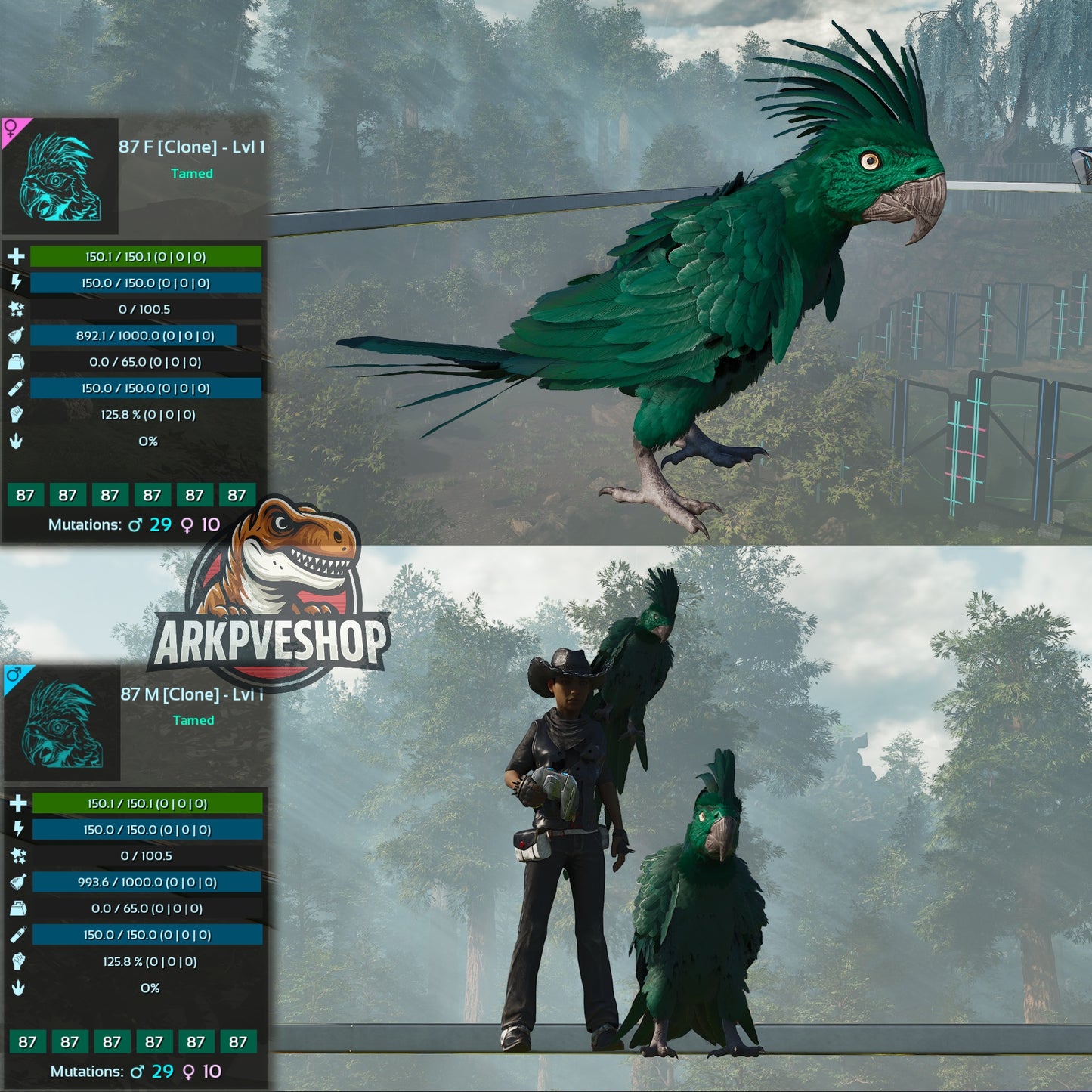 Parrot Lvl 1 Clone