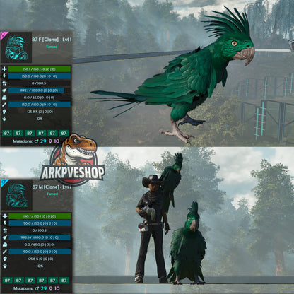 Parrot Lvl 1 Clone