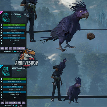 Parrot Lvl 1 Clone
