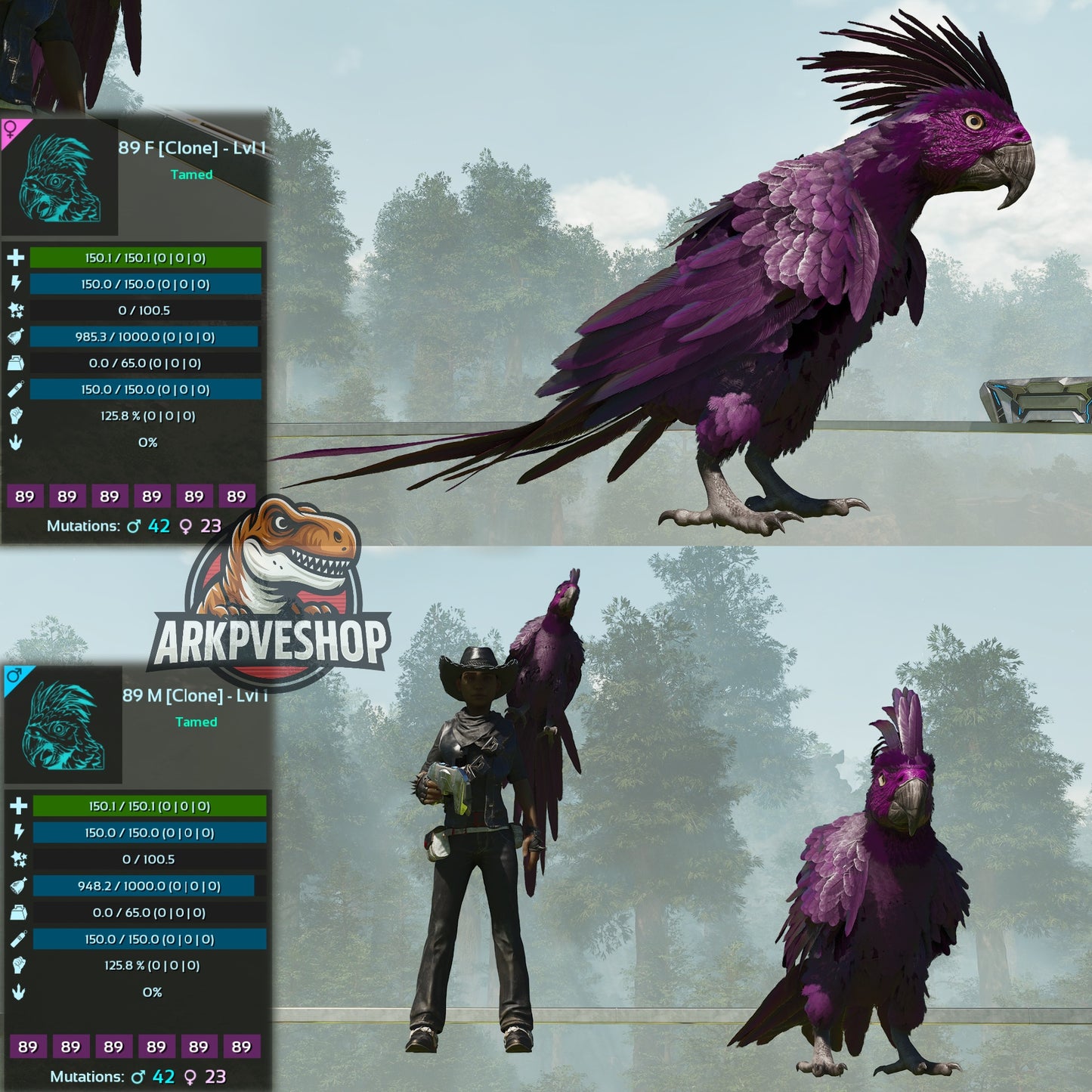 Parrot Lvl 1 Clone