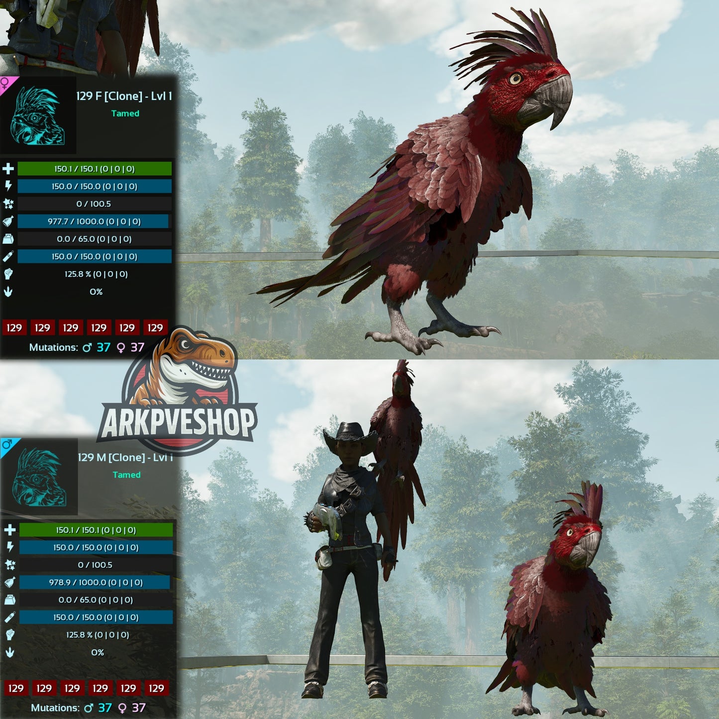 Parrot Lvl 1 Clone