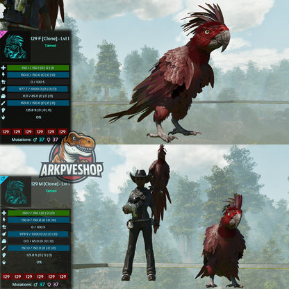 Parrot Lvl 1 Clone