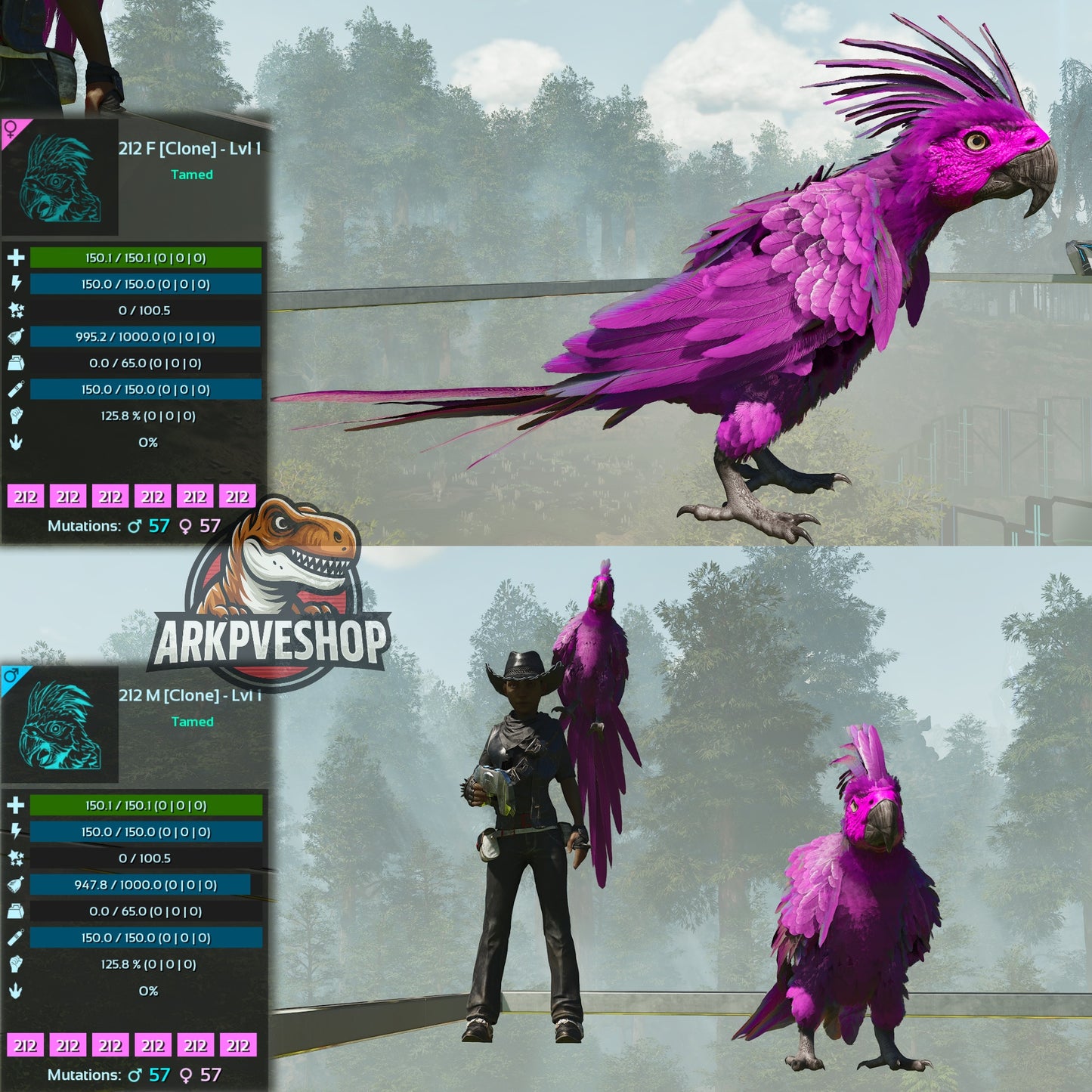 Parrot Lvl 1 Clone