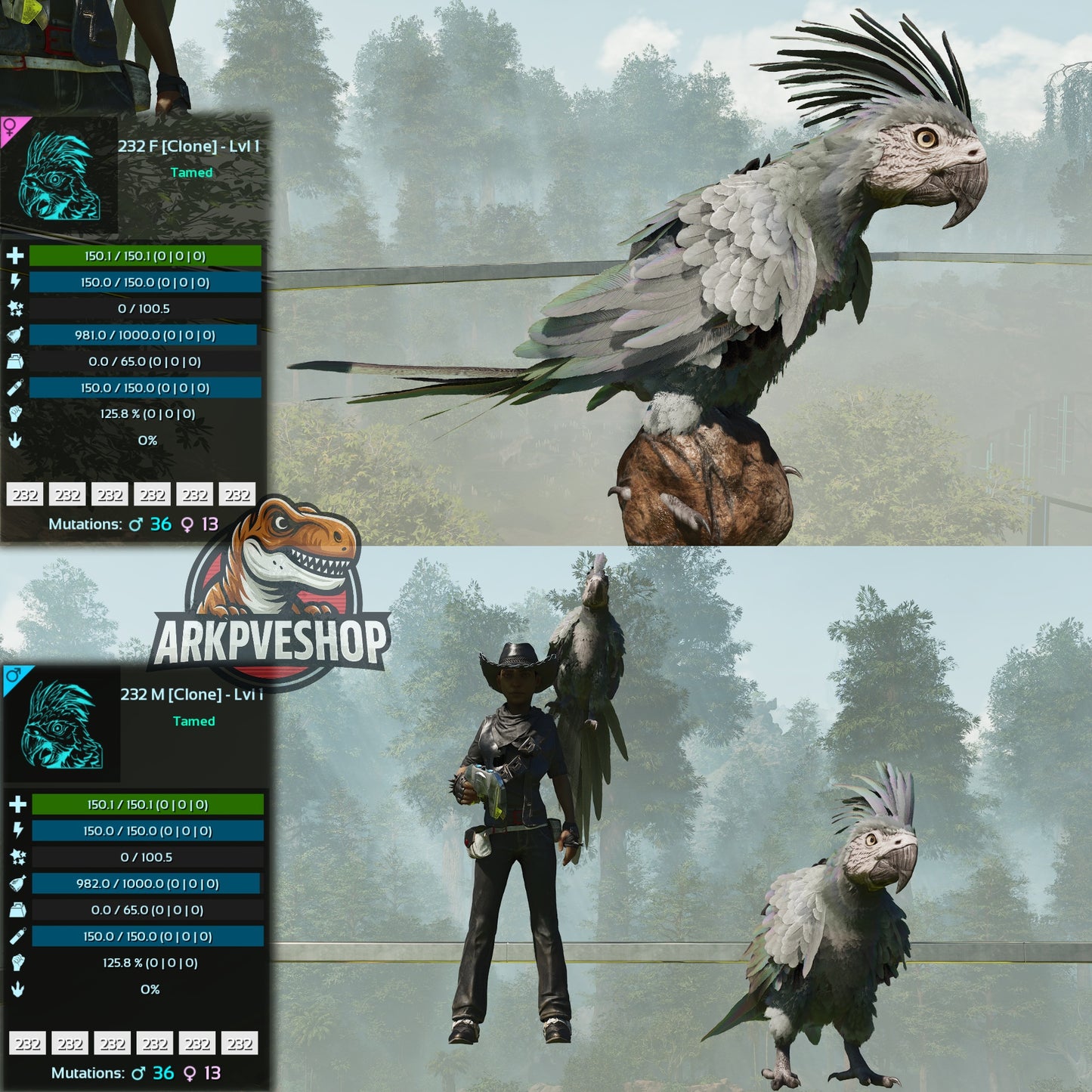 Parrot Lvl 1 Clone