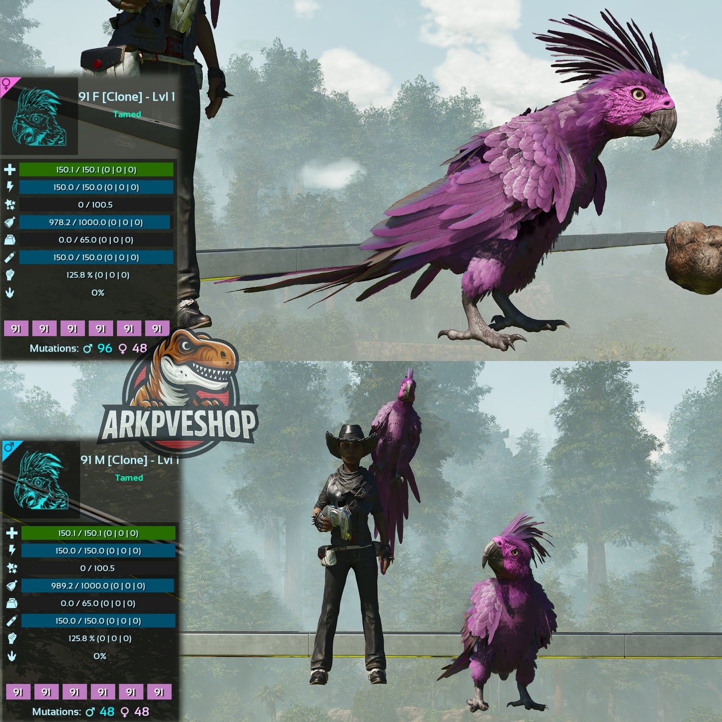 Parrot Lvl 1 Clone