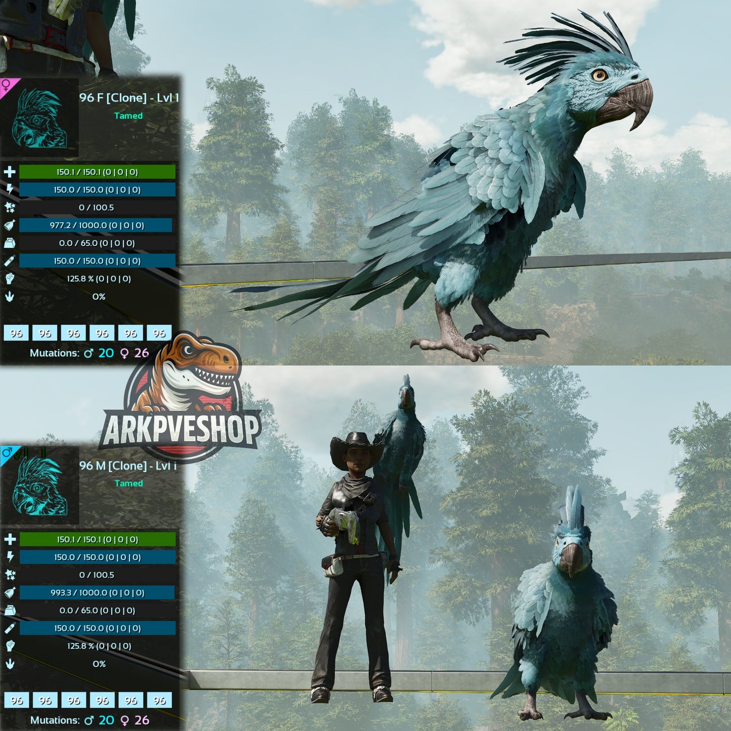 Parrot Lvl 1 Clone