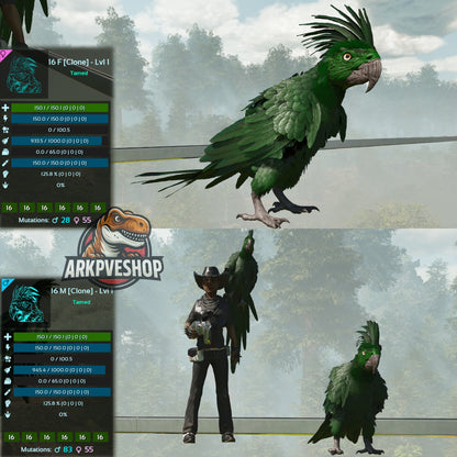 Parrot Lvl 1 Clone