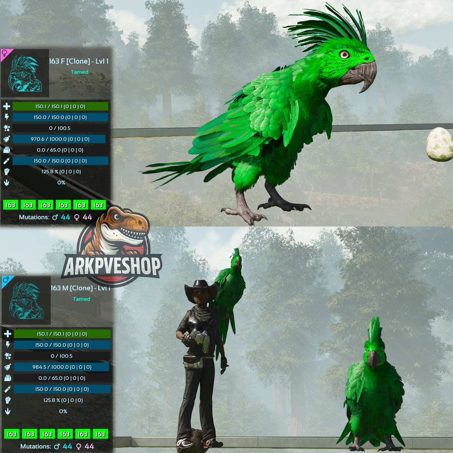 Parrot Lvl 1 Clone