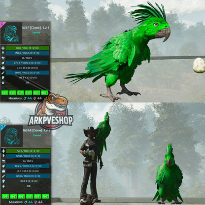 Parrot Lvl 1 Clone
