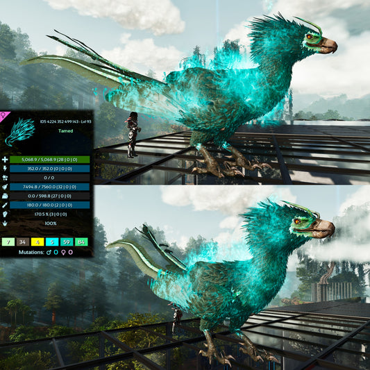 Phoenix High LVL Imprinted and Clones
