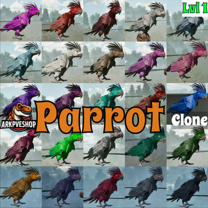 Parrot Lvl 1 Clone