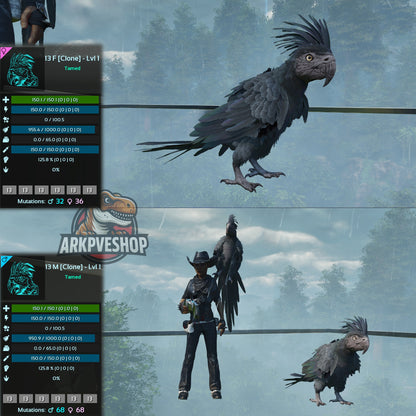 Parrot Lvl 1 Clone