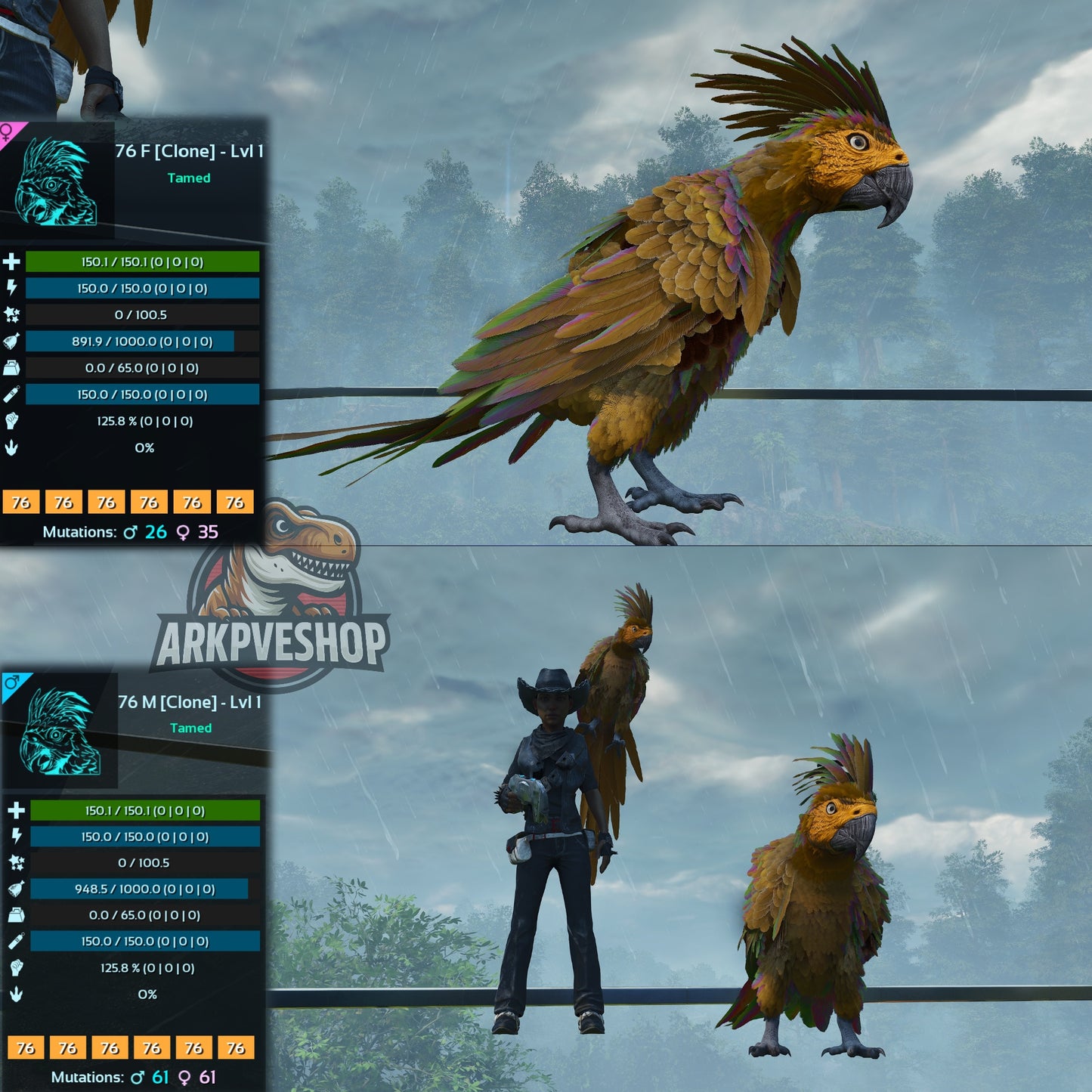 Parrot Lvl 1 Clone