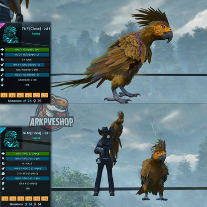 Parrot Lvl 1 Clone