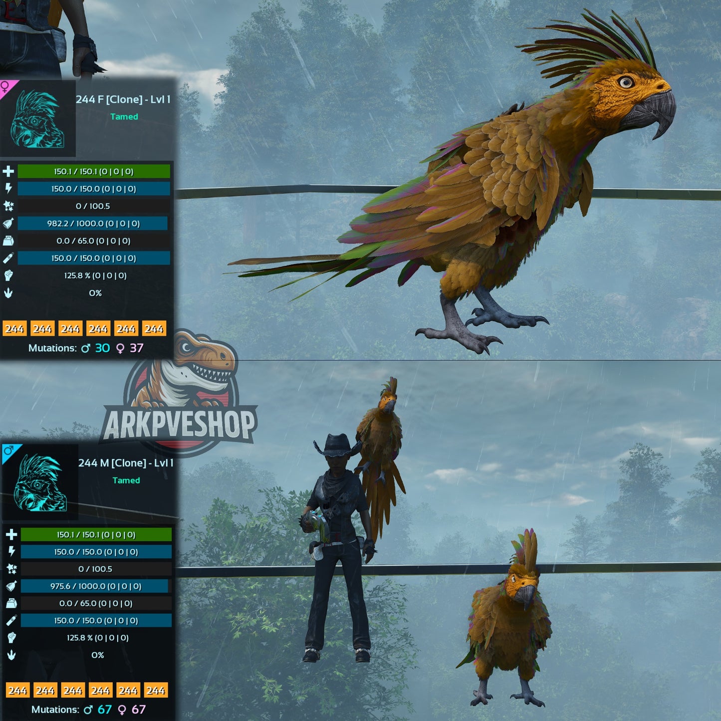 Parrot Lvl 1 Clone