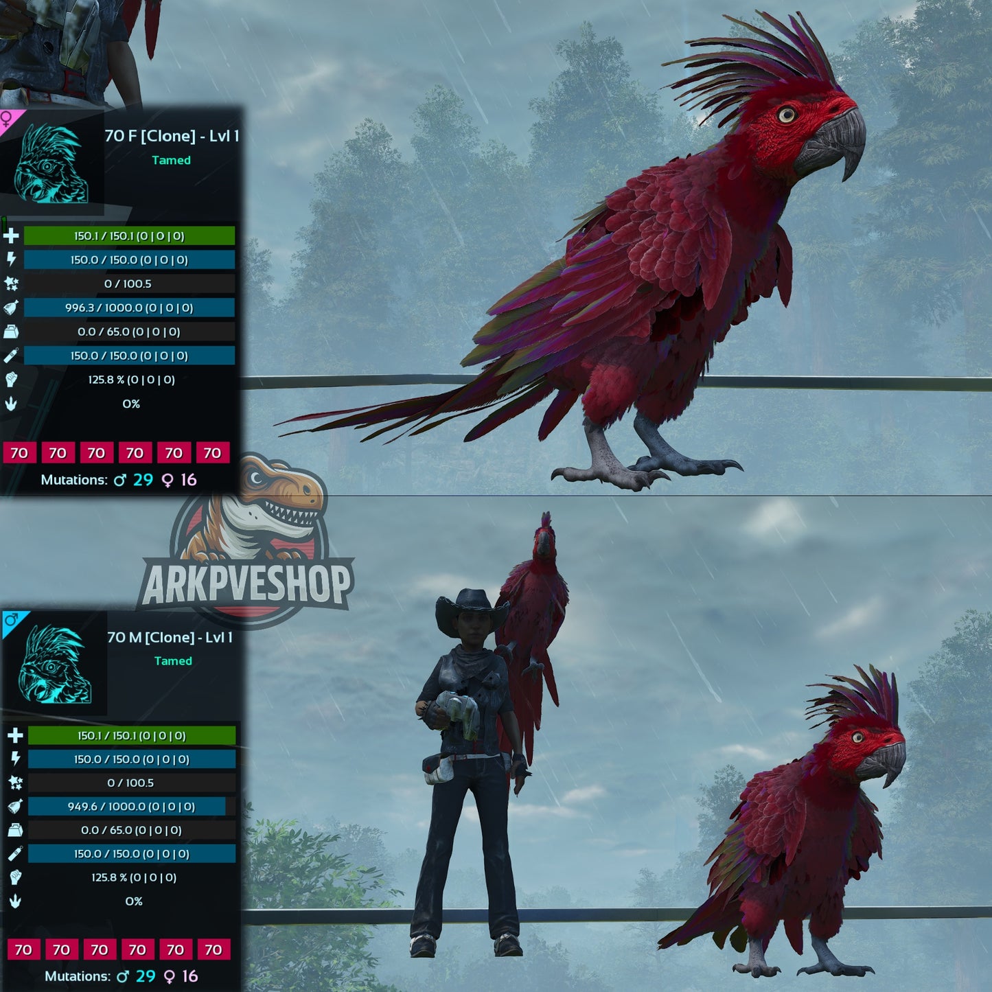 Parrot Lvl 1 Clone