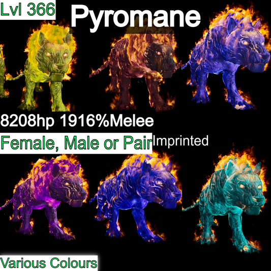 Pyromane / Pyro 1916% Melee DMG 366Lvl