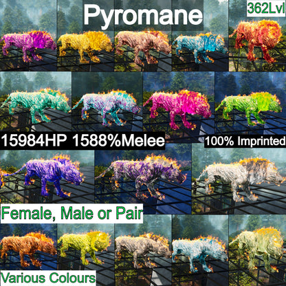 Pyromane Pyro 362Lvl 1588%dmg Imprinted🔥