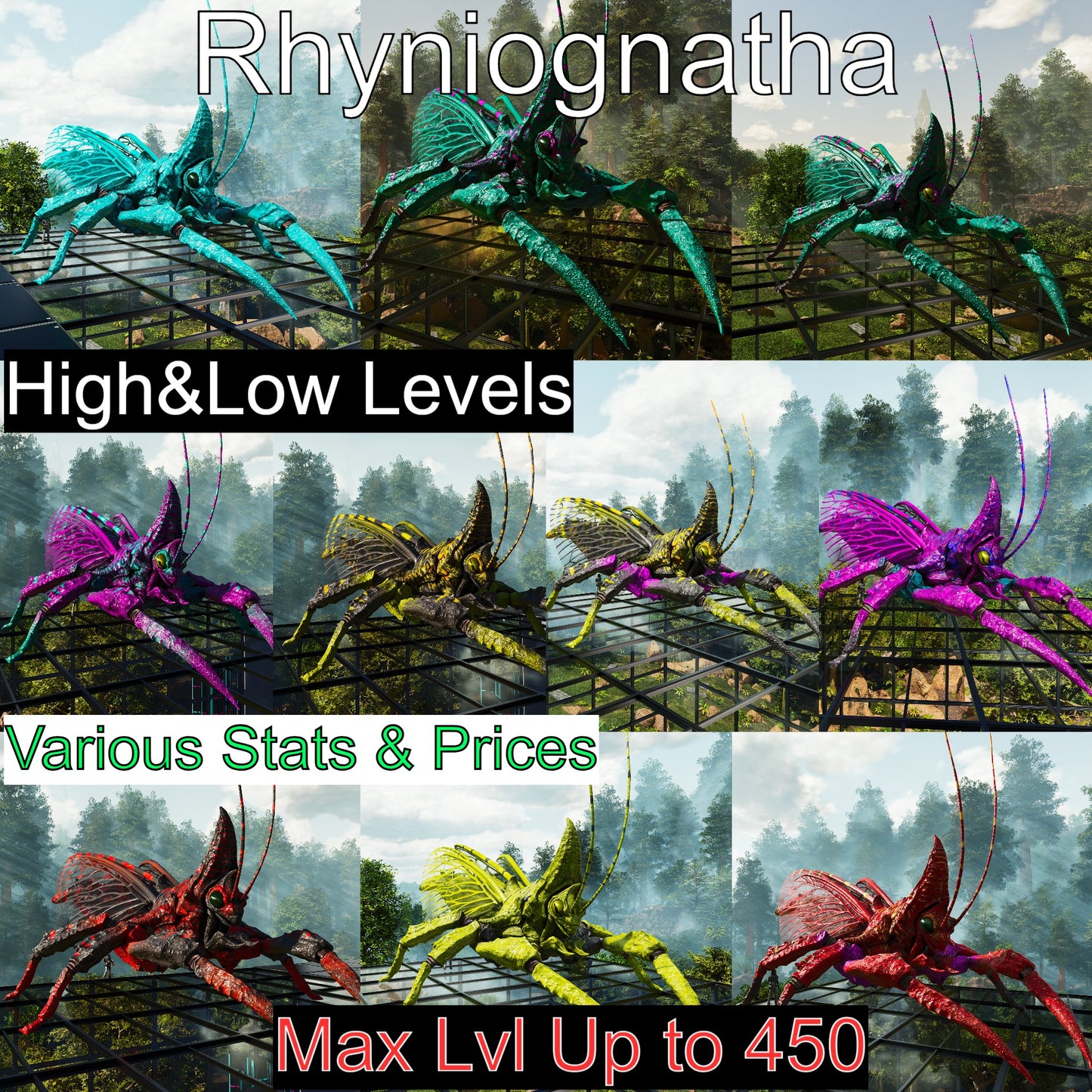 Buy Rhyniognatha / Rhynio Various Colours and Stats
