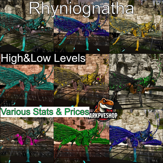 Buy Rhyniognatha / Rhynio Various Colours and Stats