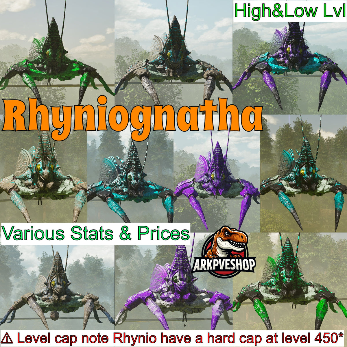 Rhyniognatha Rhynio High&Low Lvls