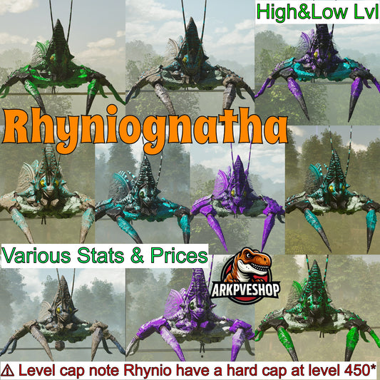 Rhyniognatha Rhynio High&Low Lvls