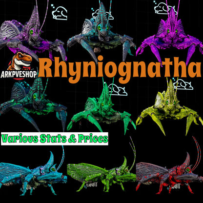 Rhyniognatha Rhynio High&Low Lvls