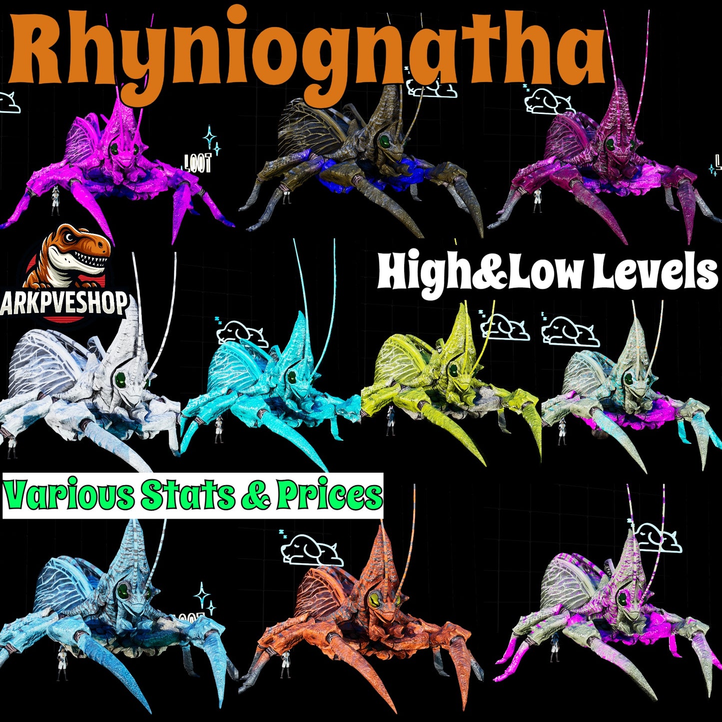 Rhyniognatha Rhynio High&Low Lvls