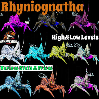 Rhyniognatha Rhynio High&Low Lvls