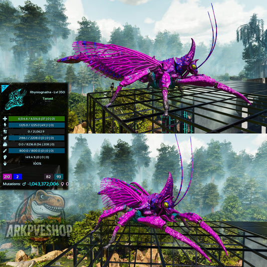 Buy Rhyniognatha / Rhynio Various Colours and Stats