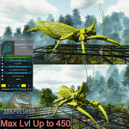 Buy Rhyniognatha / Rhynio Various Colours and Stats