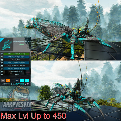Buy Rhyniognatha / Rhynio Various Colours and Stats