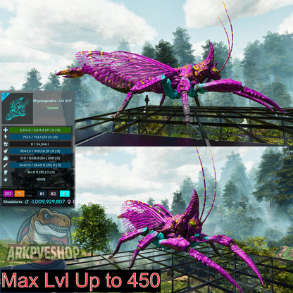 Buy Rhyniognatha / Rhynio Various Colours and Stats